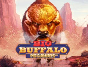 game logo by Skywind Group on spinmachocasinoo.it