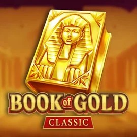 game logo by Playson on spinmachocasinoo.it
