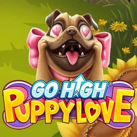 game logo by RubyPlay on spinmachocasinoo.it