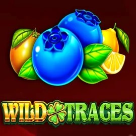 Wild Traces by Amusnet Interactive, showcased at spinmachocasinoo.it – game logo